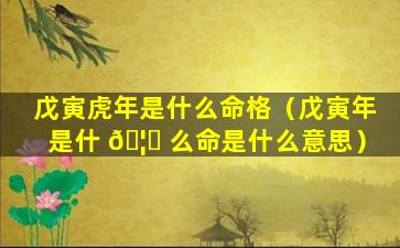 戊寅虎年是什么命格（戊寅年是什 🦋 么命是什么意思）